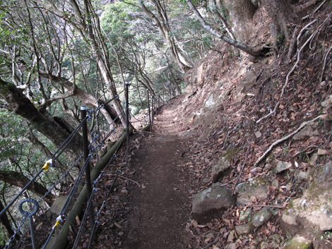 20151228hike (296)